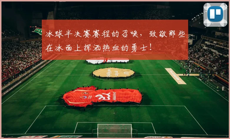 冰球半决赛赛程的召唤，致敬那些在冰面上挥洒热血的勇士！